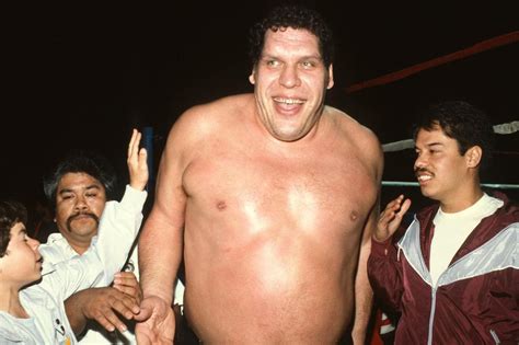 andre the giant stats